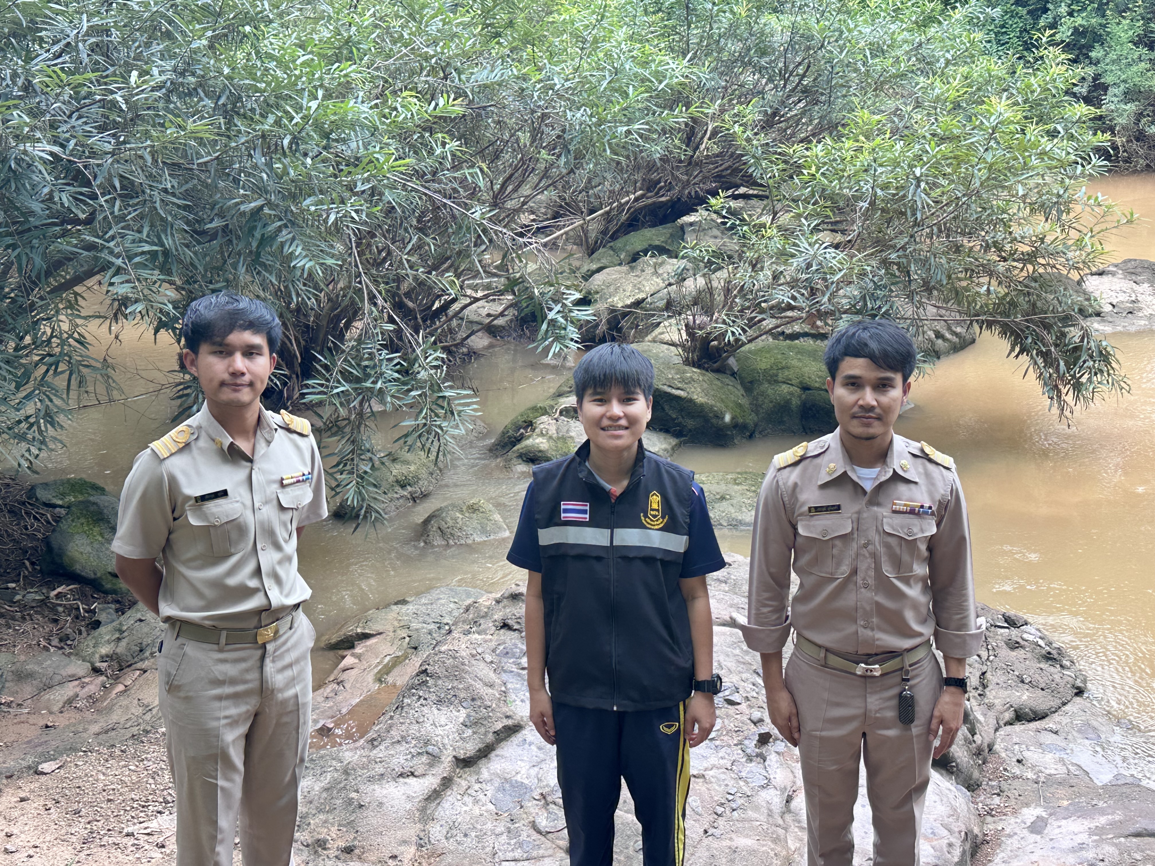 Report Image
